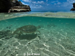 Wow...what a caribbean beauty !!!
I was on my way to div... by Dave Benz 